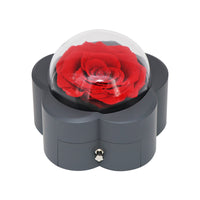 Sonsuz Gül Akrilik Yuvarlak Takı Hediye Kutusu