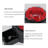 Sonsuz Gül Akrilik Yuvarlak Takı Hediye Kutusu